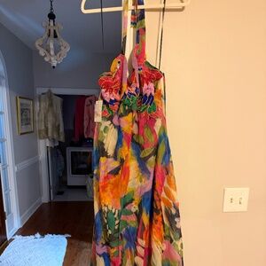 Show Me Your Mumu Valentina Maxi Dress Midnight in Rio Parrot